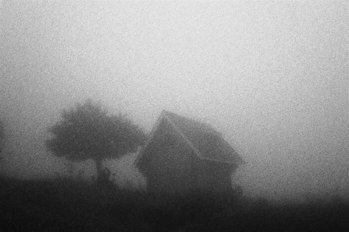 تماشای «کمدی آفتاب» و «خیالی از باغ» در گالریگردی خرداد