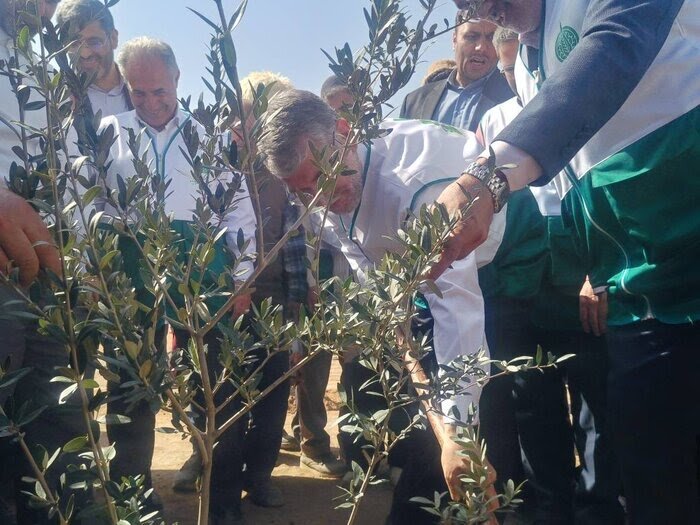 گام‌های فارس برای اجرای طرح ملی کاشت یک میلیارد درخت