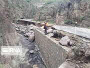 جزییات خسارت سیل در شمال کرمان؛ امدادرسانی به سه خودرو، تخریب جاده‌ای و تلفات ۳۷ راس دام