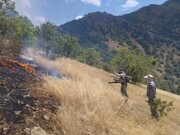 آتش‌سوزی در منطقه حفاظت شده بوزین و مرخیل پاوه مهار شد