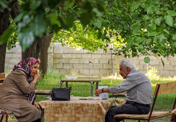آغاز برداشت توت درختی از توتستانهای آذربایجان غربی