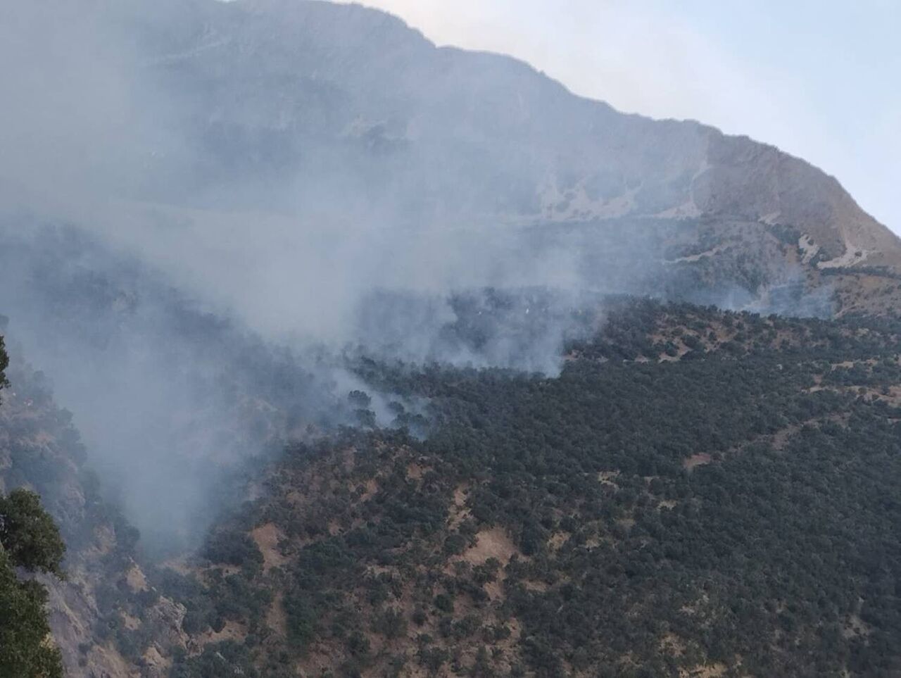  ۴۵هکتار از مراتع دالاهو در آتش سوخت