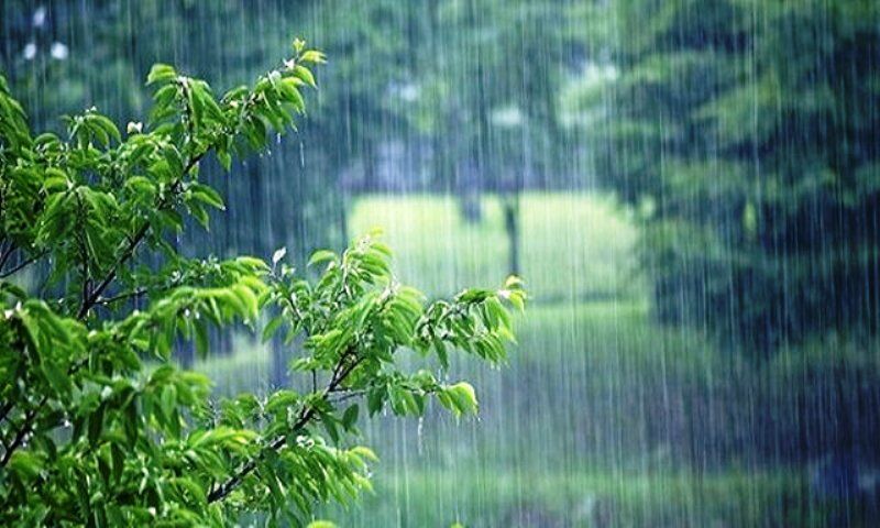 میزان بارندگی‌ها در زنجان ۳۰ درصد افزایش یافت