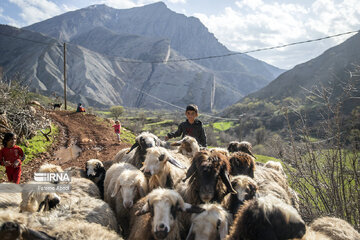 Village life in western Iran; Aligudarz County