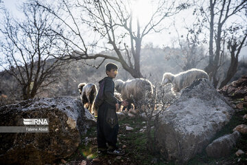 Village life in western Iran; Aligudarz County