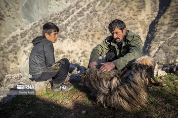 Village life in western Iran; Aligudarz County