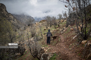 Village life in western Iran; Aligudarz County