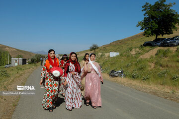 Rosewater festival in Iran's Kordestan Province