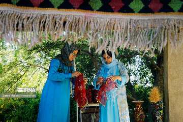 Rosewater festival in Iran's Kordestan Province