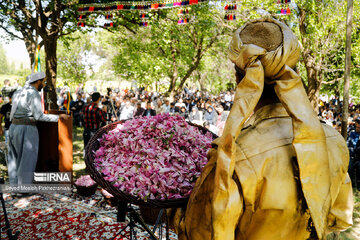 Rosewater festival in Iran's Kordestan Province