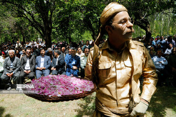 Rosewater festival in Iran's Kordestan Province