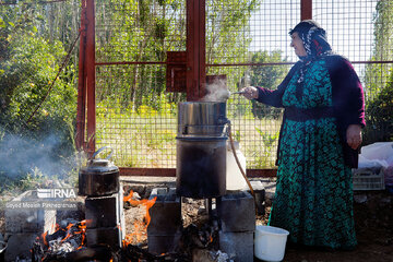 Rosewater festival in Iran's Kordestan Province