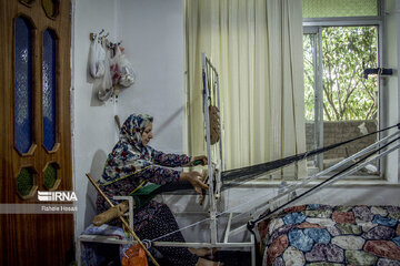 Silkworm breeding in northern Iran