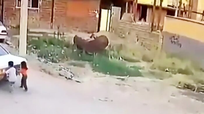 کودکان و فرهنگ ترافیکی/ کوچولوهای بیتقصیر و یک عمر پشیمانی