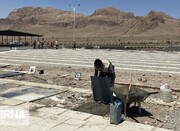۹۰ قطعه جدید در آرامستان زنجان احداث شد