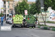 شهرداری: فعالیت دستفروشان در بیرجند بدون مجوز است