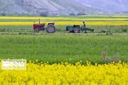 اسناد ۷۲ پلاک از اراضی مهاباد برای کشاورزان صادر شد