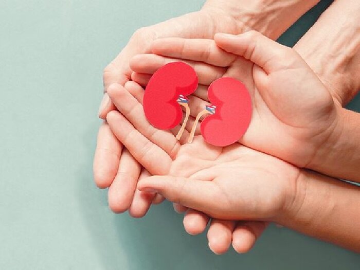 بیماریهای کلیوی، تهدید خاموش سلامتی