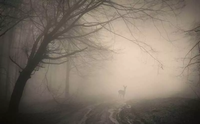 ۲۰ نقطه ترسناک ایران؛ سفر با طعم وحشت و هیجان