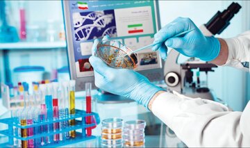 اجرای طرح سلول درمانی در سلطانیه با مشکل اداری و قانونی مواجه نیست