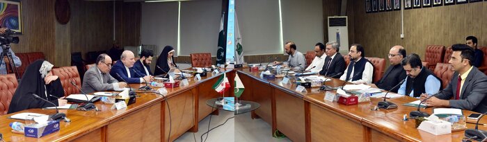 دعوت پاکستان از سرمایه‌گذاران ایرانی برای مشارکت در توسعه مناطق ویژه اقتصادی