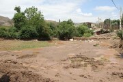 وقوع سیل در نقاط دور از انتظار طبیعت سمنان تا ورود دام به مراتع در سایه گرانی نهادهها