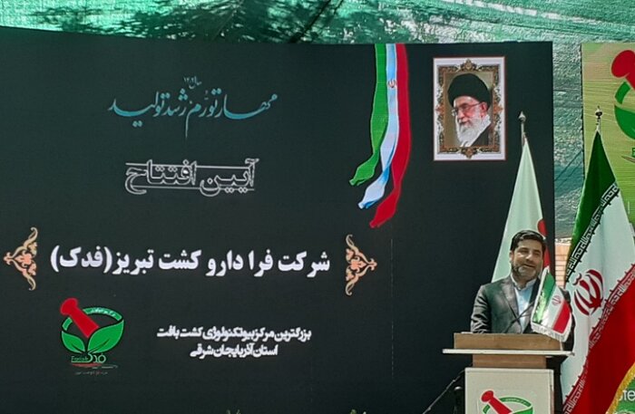 سطح زیرکشت گلخانهها در دولت سیزدهم در آذربایجانشرقی به ۳۸۰ هکتار رسید