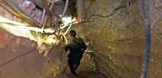 Zionists frightened by Hezbollah’s underground tunnels