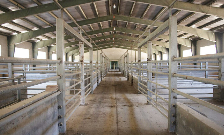 کشتارگاه صنعتی ایلام همچنان بلاتکلیف؛ واگذاری به هفته آینده موکول شد