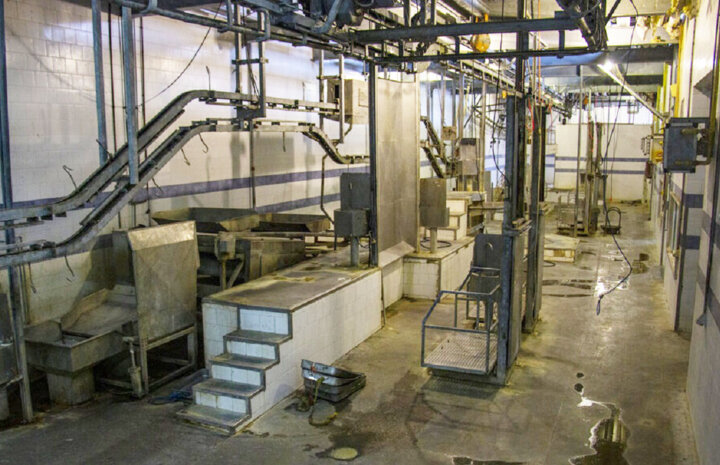 کشتارگاه صنعتی ایلام همچنان بلاتکلیف؛ واگذاری به هفته آینده موکول شد