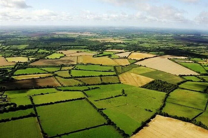 برداشتن گامهای جهادی برای سند دار کردن ۱۱۰ هزار هکتار از زمینهای کشاورزی استان بوشهر