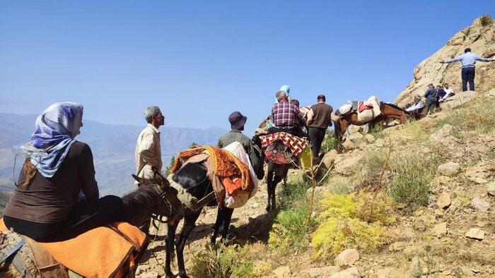 سهم ۳۰ درصدی دستان هنرمند عشایر در اقتصاد صنایع دستی آذربایجانشرقی