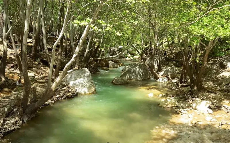 اطراف شیراز کجا بریم؟