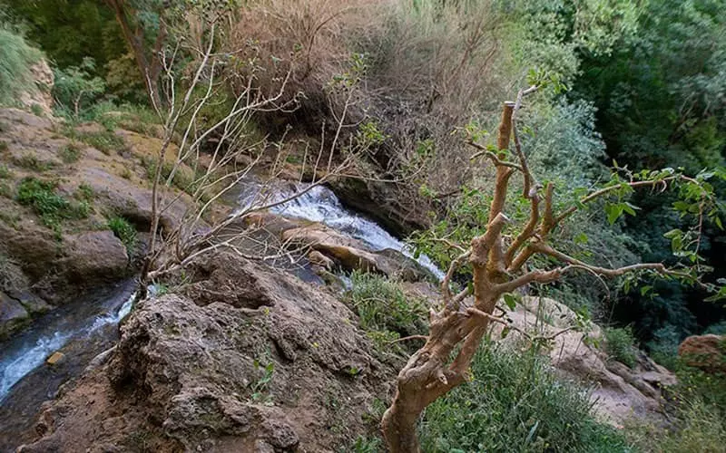 اطراف شیراز کجا بریم؟