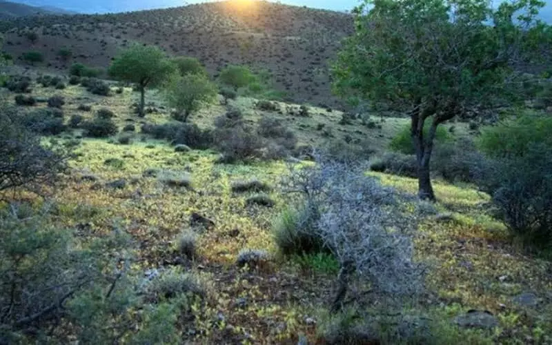 اطراف شیراز کجا بریم؟