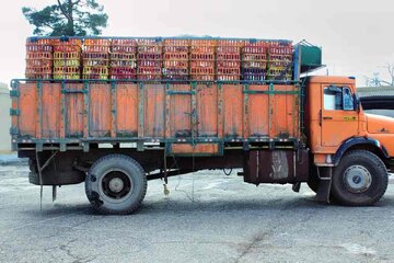 سه کامیون حامل مرغ قاچاق در نهبندان متوقف شد