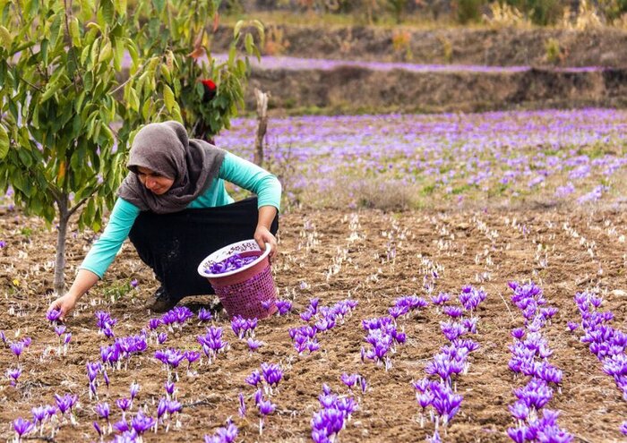 ساعت هفت، کلاس اخلاق در مکتب حاج قاسم