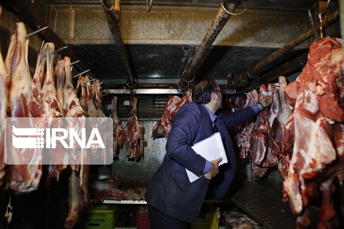 اعزام ناظران بهداشتی و شرعی برای واردات گوشت ضروری است