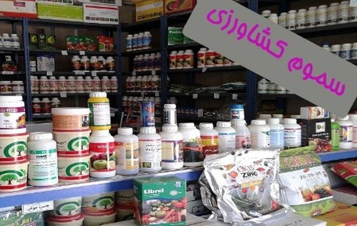 تغییر اقلیم و لزوم مقابله با بیماری «بلاست» در شالیزارهای شمال