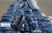 قاچاقچی مواد مخدر با ۳۰۰ کیلو تریاک در دام پلیس بوشهر 