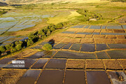 شبکه آبیاری ۶هزار و ۴۵۰ هکتار زمین کشاورزی در لرستان آماده بهره برداری است