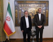 İran Dışişleri Bakanı, Siyonistlerin suçlarını durdurmak için İslam ülkelerinin ortak eylemde bulunma gerekliliğine vurgu yaptı