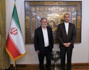 Irans Außenminister betont die Notwendigkeit konzertierter Maßnahmen islamischer Länder, die Verbrechen der Zionisten zu stoppen