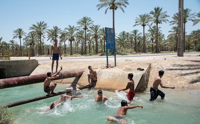 فیلم | گرمای خرماپزون بوشهر