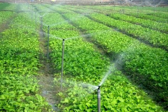  بی مهری آب به کشاورزی آذربایجان غربی