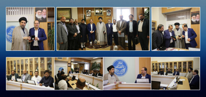 دانشگاه تهران آمادگی اجرای رشته های مشترک با دانشگاه های برتر هند را دارد