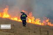 آتش سوزی در عرصه‌های محیط زیست کشور ۴۳ درصد کاهش یافت