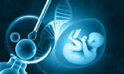 درخواست اعمال مقررات سختگیرانه‌ در پی تولید ساختار جنین انسانی در آزمایشگاه