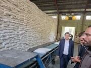 پیگیری تعزیرات حکومتی البرز موجب بهبود وضعیت کارخانه قند کرج شد 