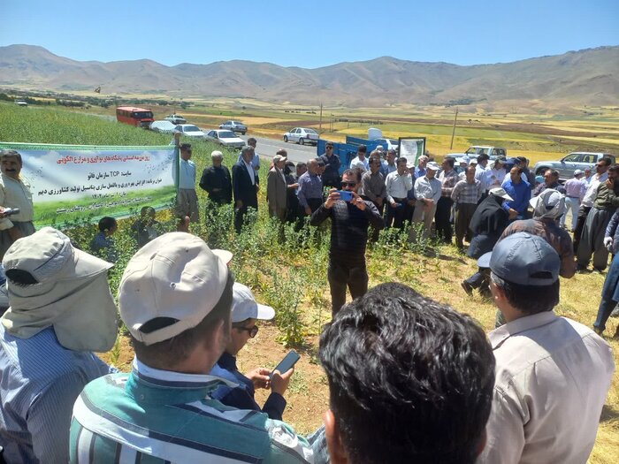 کشت مستقیم و حفظ بقایای گیاهی مهمترین استراتژی در کشاورزی حفاظتی است 